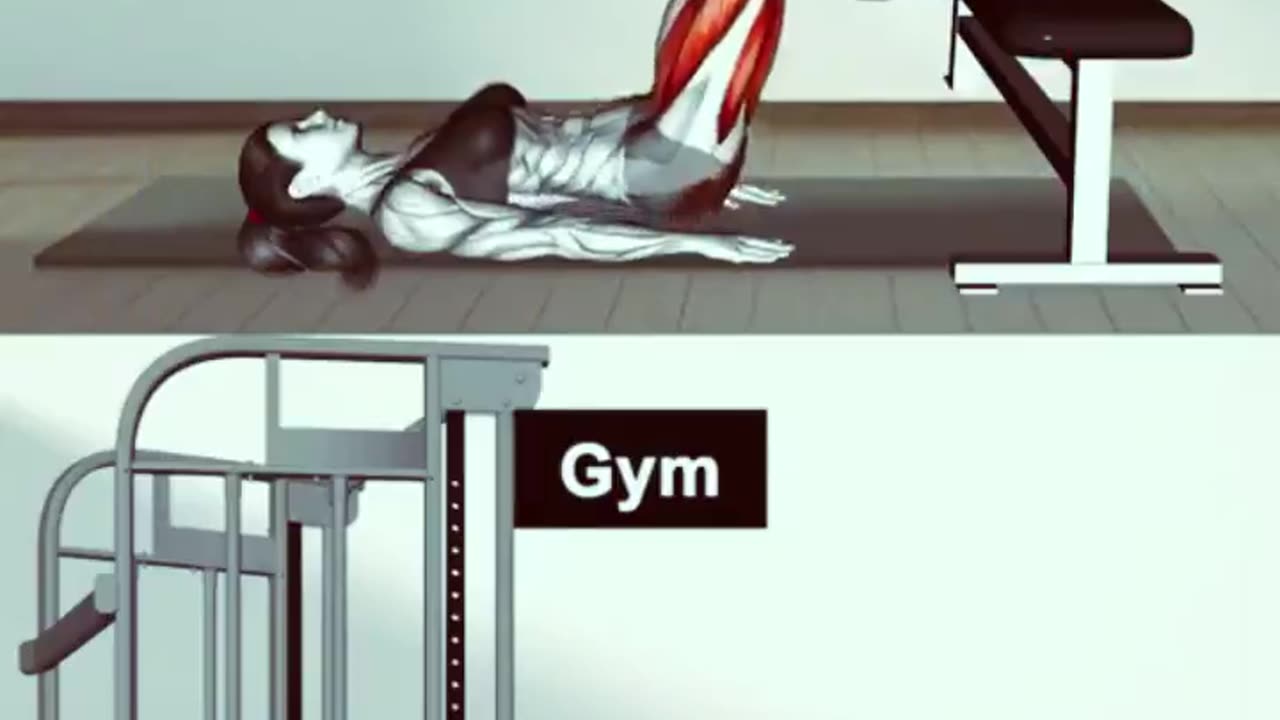 Exercises for gym and home