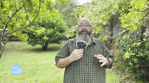Vlogging with Just a Camera Evolution
