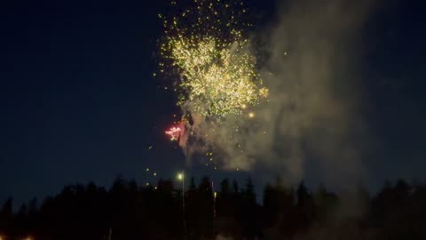 Central Park Vancouver Canaday Day Fireworks