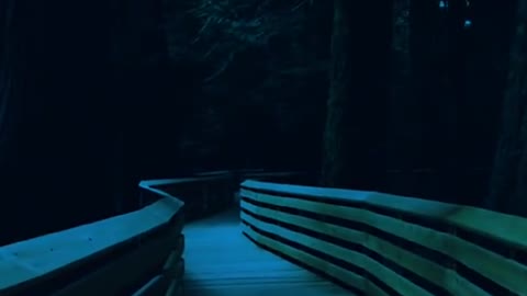 🔥 relaxing video, trees 🌳, rain and sea 🌊. great for relaxing🔥