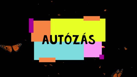 Hungary ¦ Autózás (dalszöveges audió)