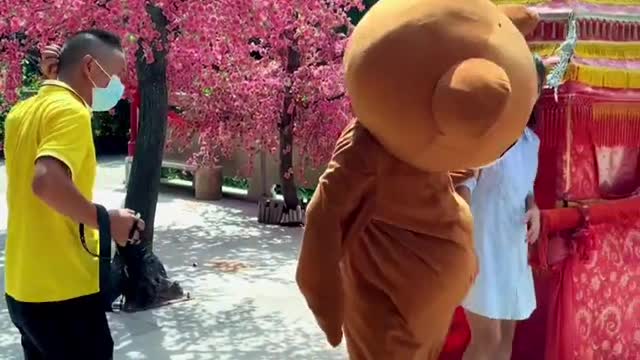 Funny video _ Funny Bear