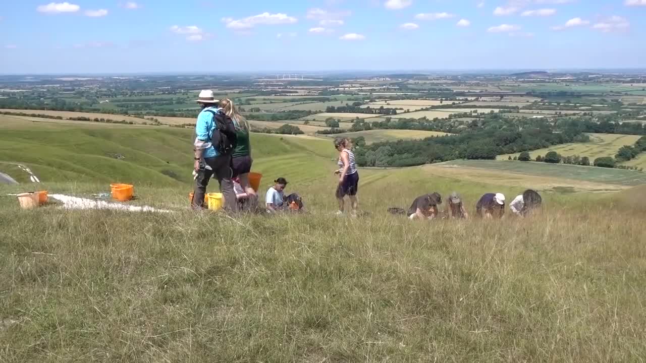 I hit 3,000-year-old art with a hammer