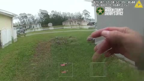 Moment Stolen Car Driver Is Taken Down By Police K9 Dog Jax
