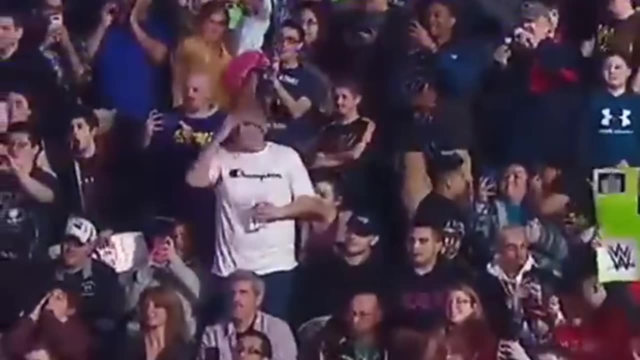 Big dog return