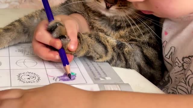 Just look to the cat's face πΆπ±