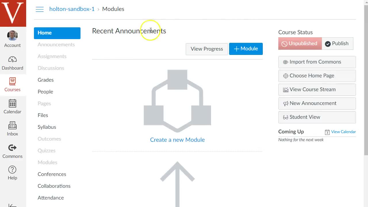 Canvas Basics set-up step 1