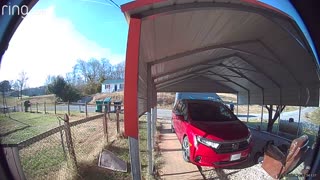 Doorbell Cam Catches Delivery Driver's Talk With Dog