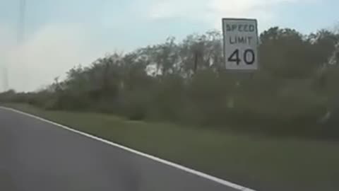 Angry bird chucks a big rock into a windshield 😱