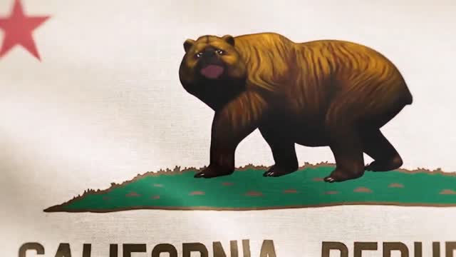 New California State Public Conference Call