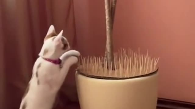 Well, master, it will come out sideways for you...