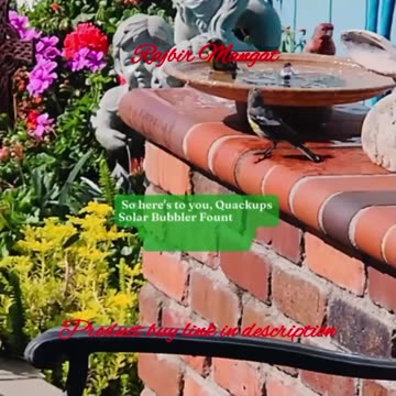 Quackups Solar Bubbler Fountain for Hummingbirds