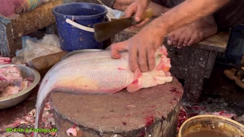 Amazing Fastest Boal Fish Cutting In Fish Market | Fish Cutting Skill