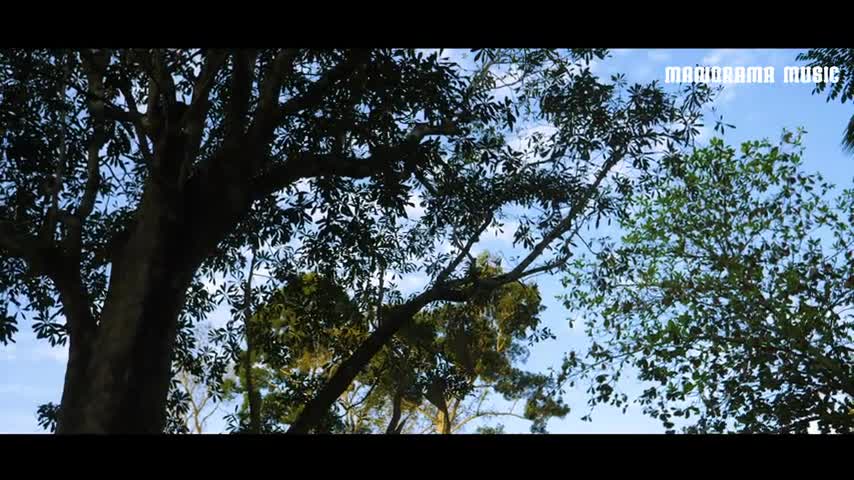 177_Ormappattam Malayalam Musical