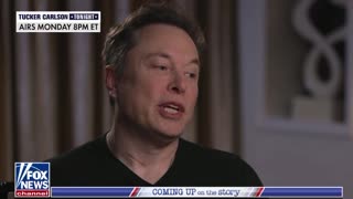 Musk on A.I.