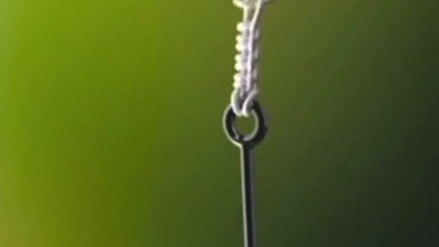 fishing knot