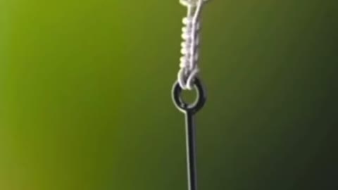 fishing knot