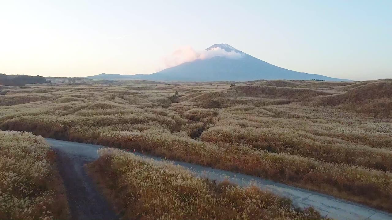 Tesla Road Trip to Mt. Fuji 2020