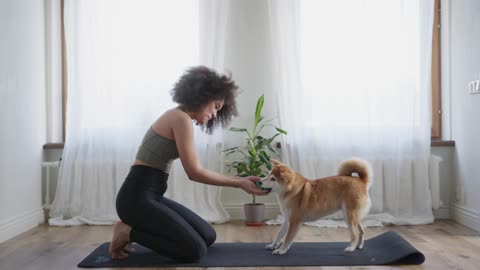 A Woman Playing Ball With Her Dog