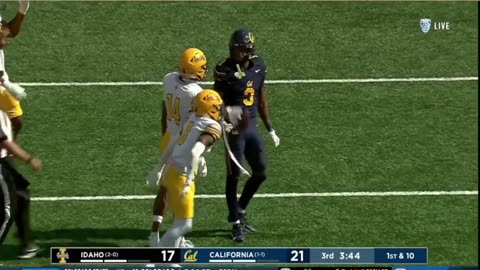 California vs Idaho Highlights | College Football Week 3 | 2023 College Football