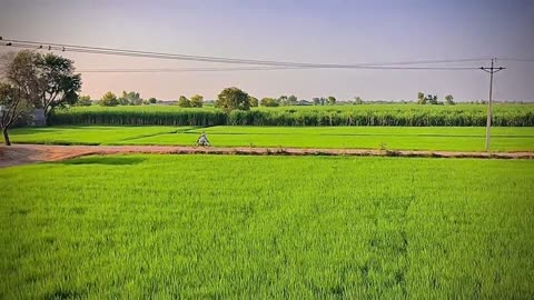 village life