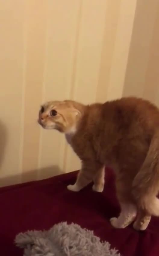 Who the hell are you?