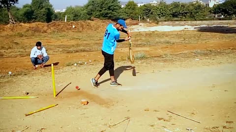 Cricket
