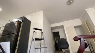 DIY renovation trim painting