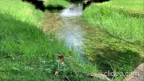 Relaxing Music | Sleeping, Meditation, Stress Relief | [1167] ⭐️