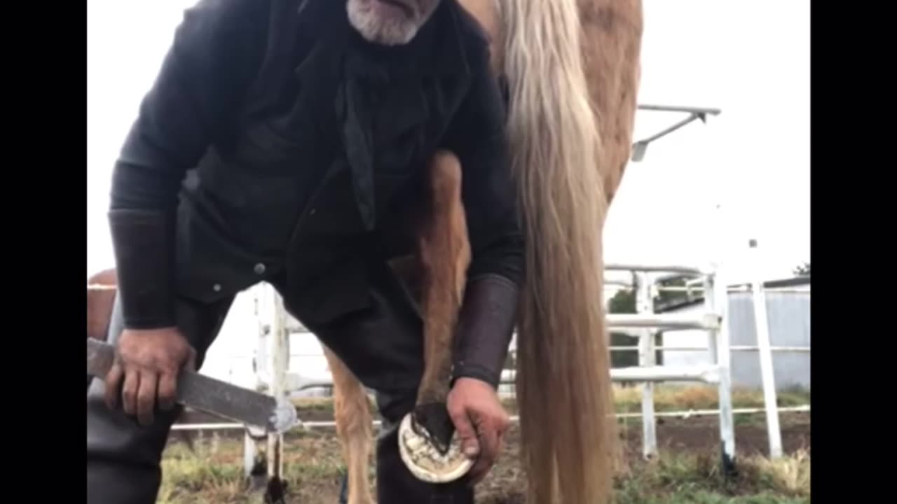 A Message to Klaus Schwab and his buddies