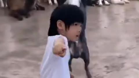 Cute dog dancing with kid