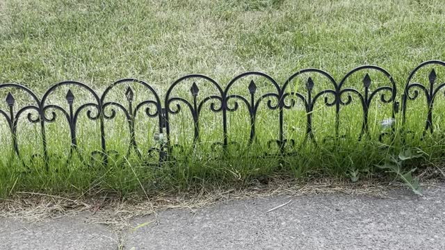 A magpie bird takes its food away