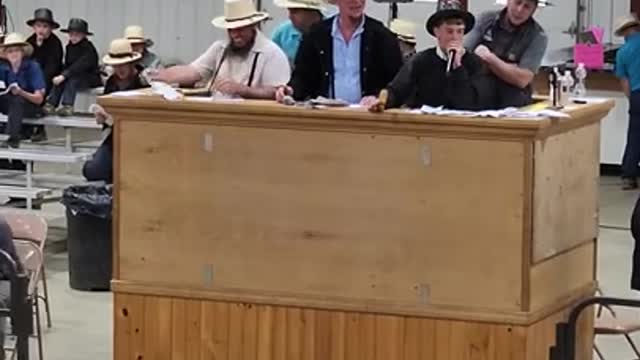 11 yr old auctioneers at Middlefield Ohio standardbred driving horse sale. May 28 2022