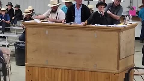 11 yr old auctioneers at Middlefield Ohio standardbred driving horse sale. May 28 2022