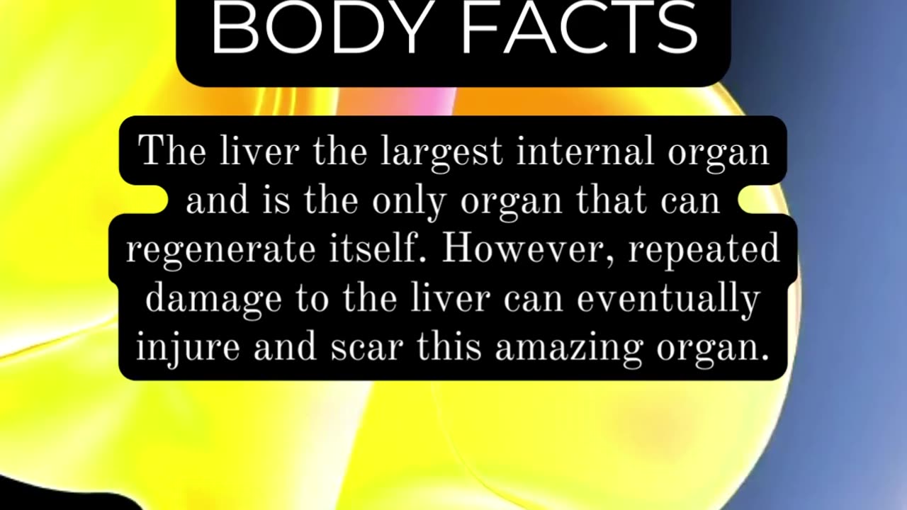 Unleash Your Curiosity: Surprising Body Facts