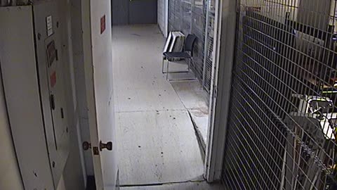 1009RSOBBASRB31RearDoor_2021-01-05_01h00min00s027ms.mp4