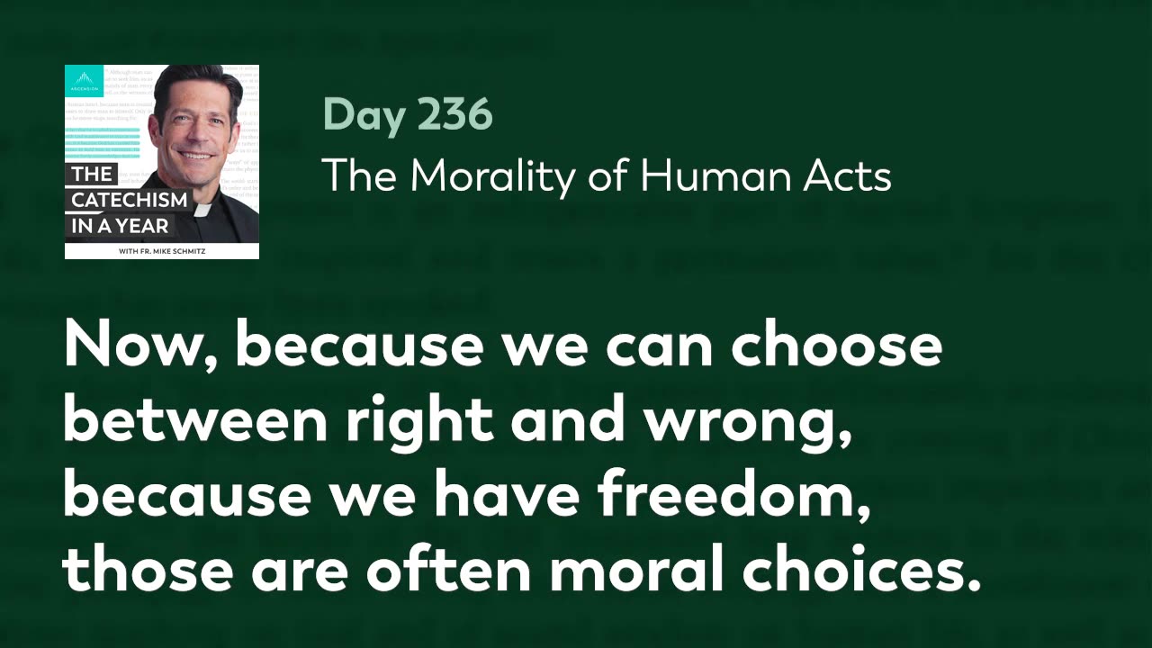 Day 236: The Morality of Human Acts — The Catechism in a Year (with Fr. Mike Schmitz)