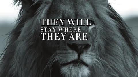 Keep negative people behind you