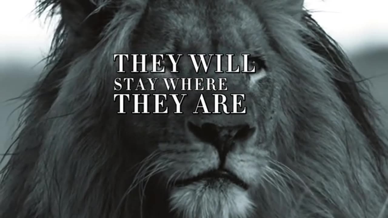 Keep negative people behind you