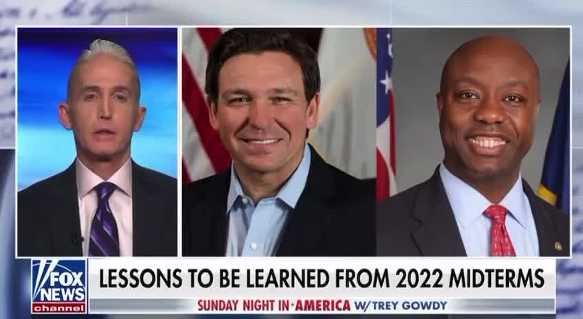 MAGA Grifters