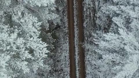 Relaxing Nature Road