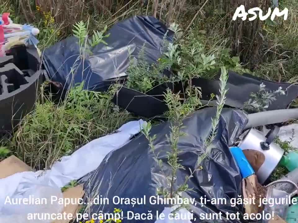 Brașovul Ecologic-Orașul Ghimbav!