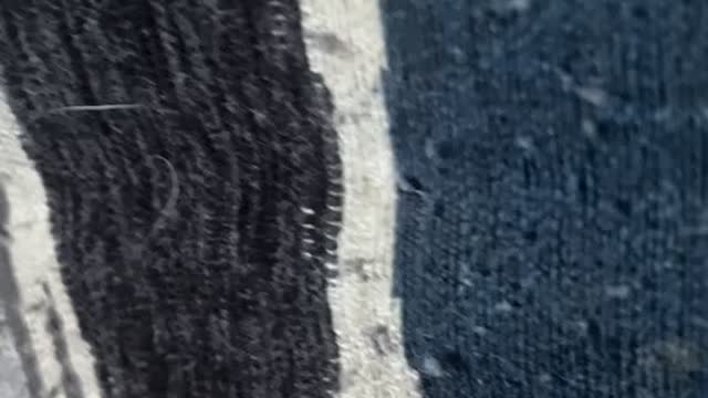 Sneaky Freezes When Spotted