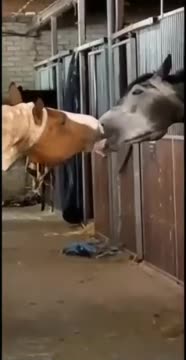 This is real love ❤️❤️❤️