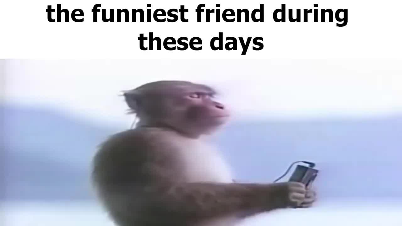 No Nut November equator slander