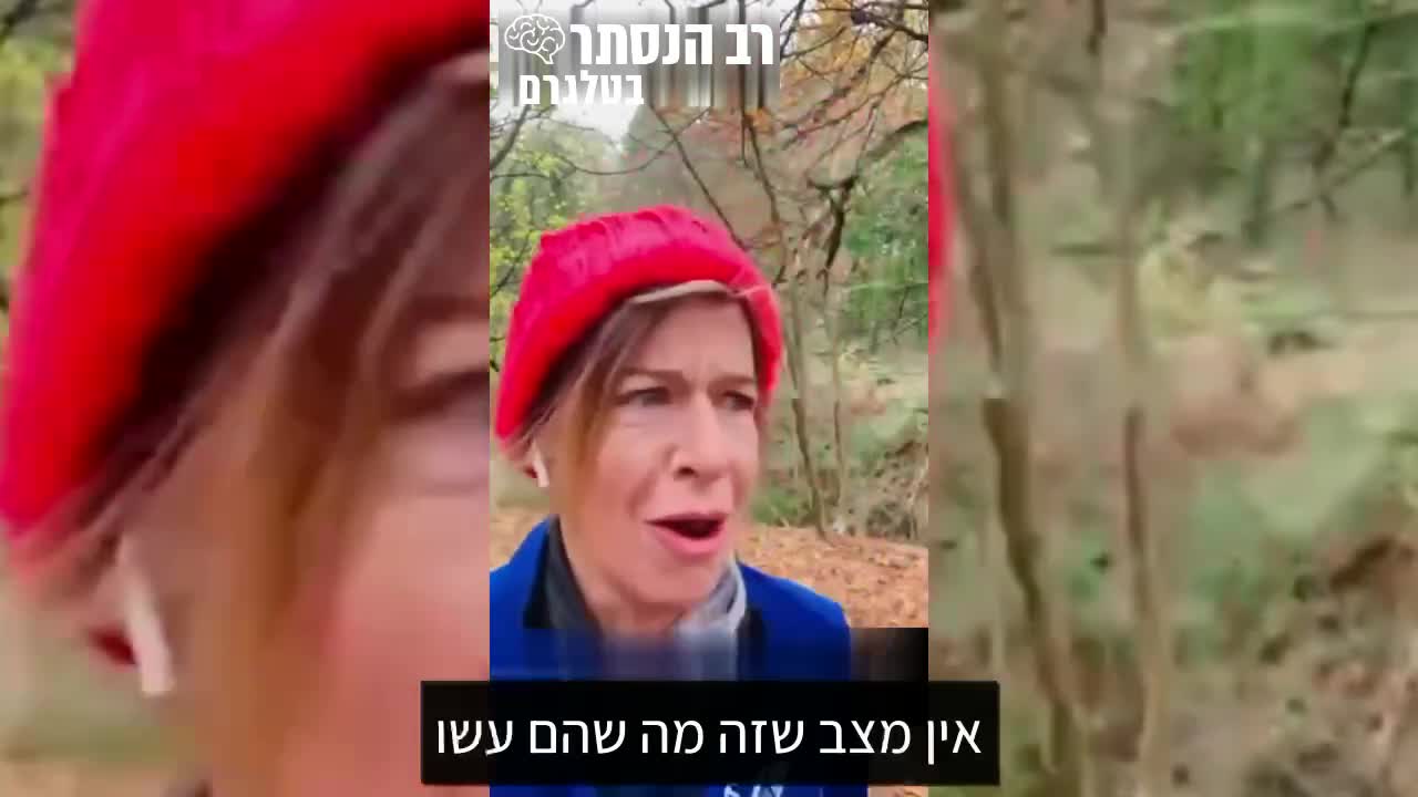 Another video for the Normies