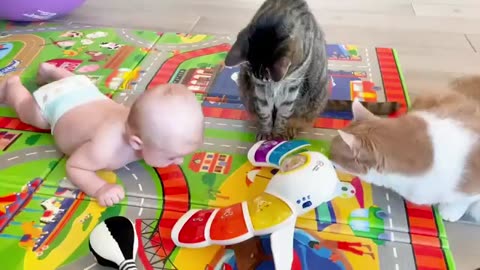 Baby funny video