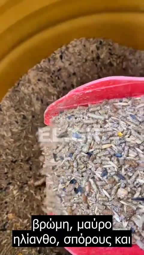 Ας ελπίσουμε ότι αυτό δεν είναι αλήθεια. Όμως όλα είναι πιθανά αυτές τις μέρες.