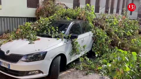 'It was an apocalyptic scene' - Overnight storm uproots trees in Milan