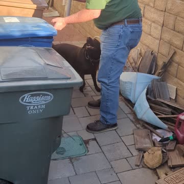 Dog takes out the trash